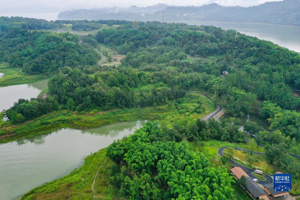 永利现金玩法